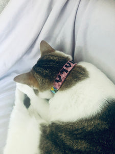 Customised pet name on Collar